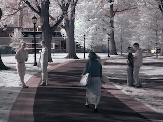 pathway with people